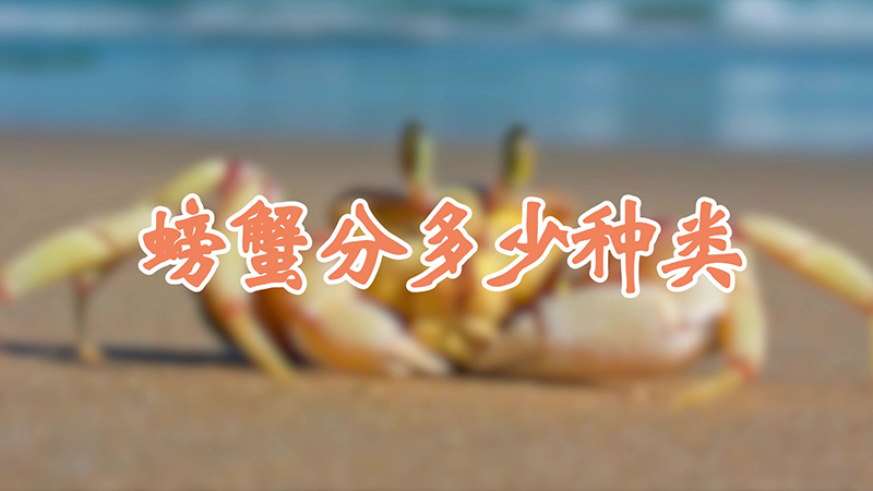 螃蟹分多少种类