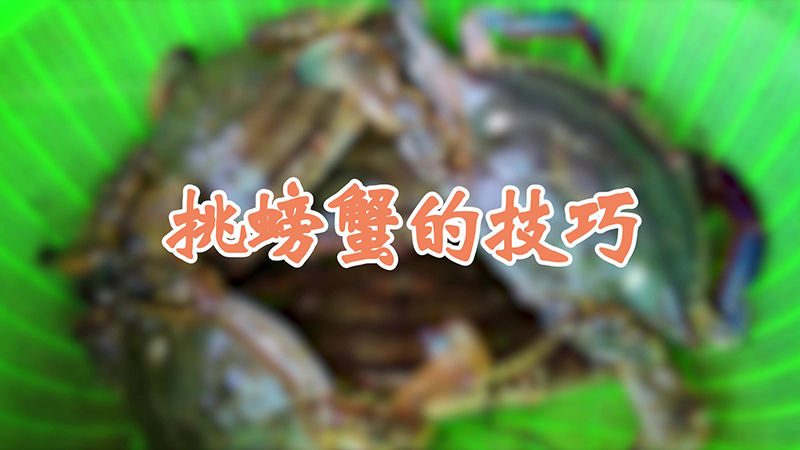 挑螃蟹的技巧