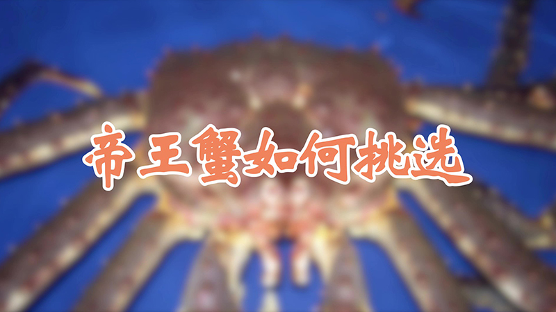 帝王蟹如何挑选
