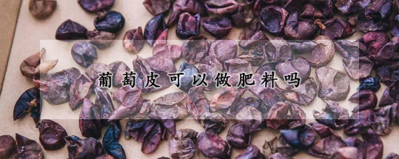 葡萄皮可以做肥料吗