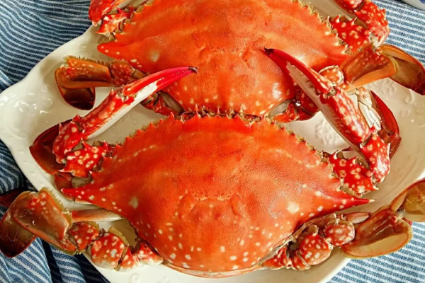 螃蟹怎么吃?螃蟹吃法10步骤图解 怎样正确吃螃蟹
