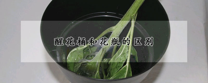 醒花桶和花瓶的区别