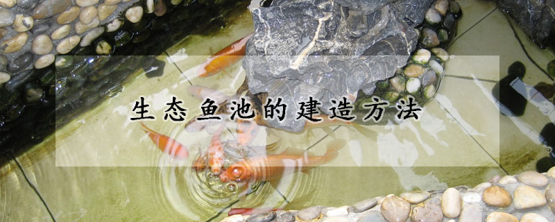 生态鱼池的建造方法