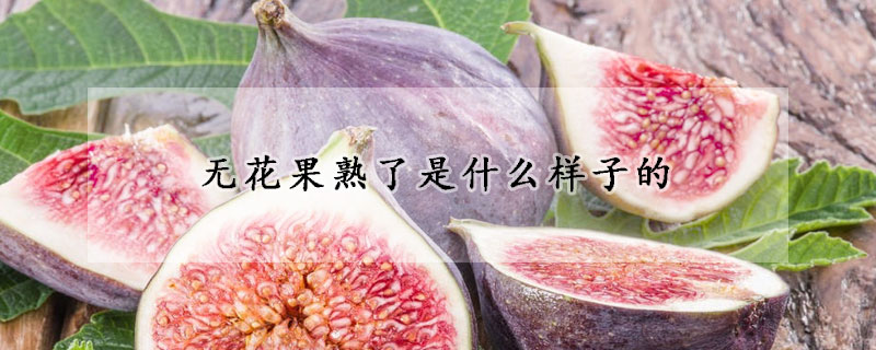 无花果熟了是什么样子的