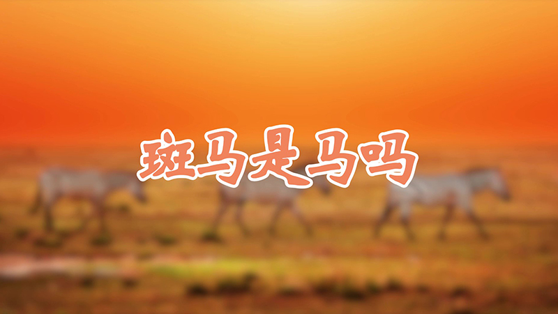 斑马是马吗