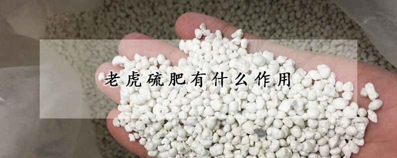 老虎硫肥有什么作用