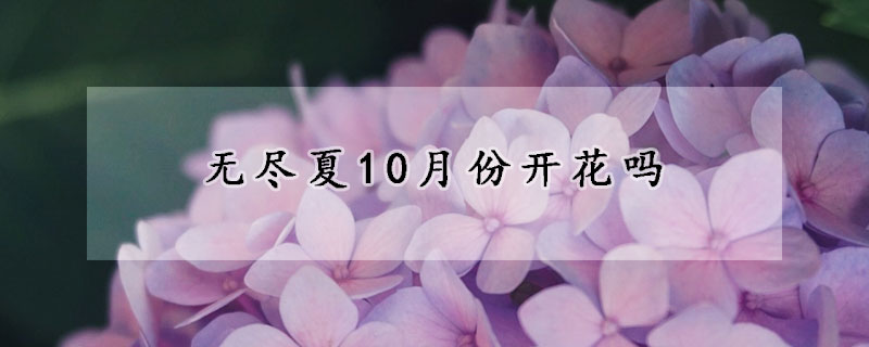 无尽夏10月份开花吗