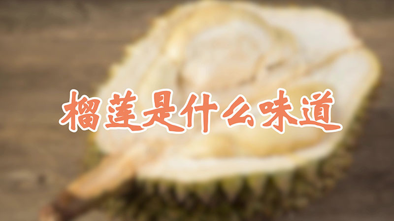 榴莲是什么味道