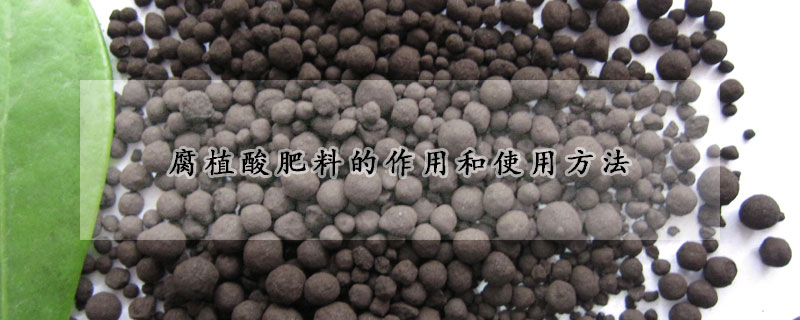腐植酸肥料的作用和使用方法