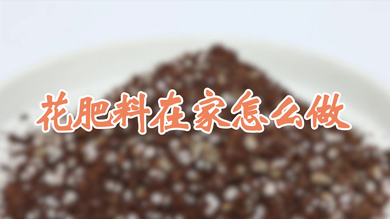 花肥料在家怎么做