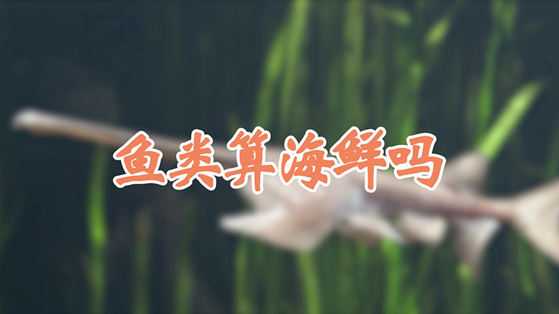 鱼类算海鲜吗