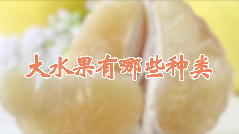 大水果有哪些种类