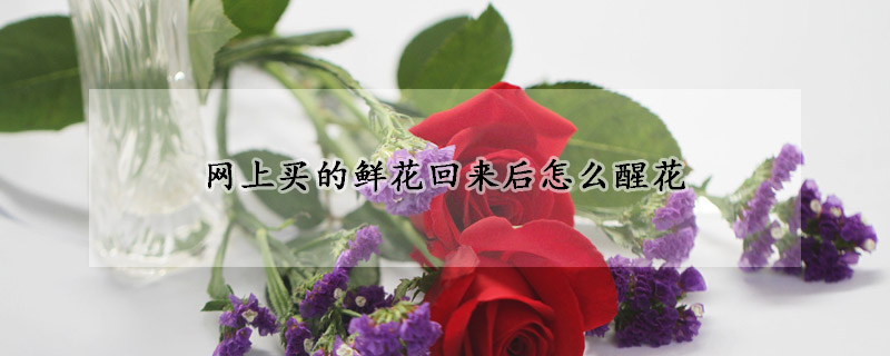 网上买的鲜花回来后怎么醒花