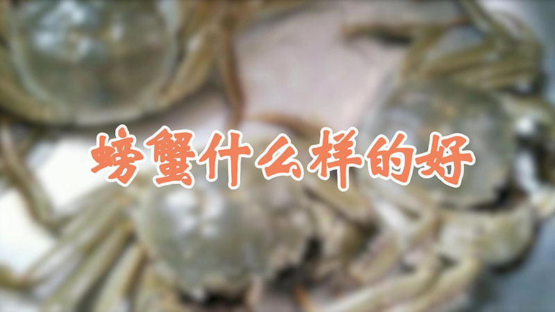 螃蟹什么样的好
