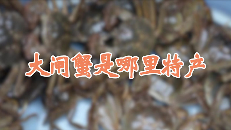 大闸蟹是哪里特产