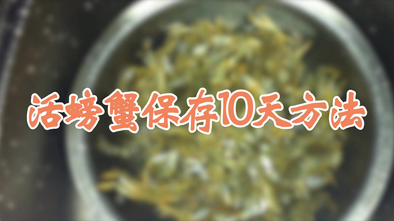 活螃蟹保存10天方法