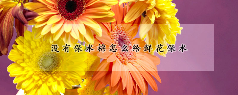 没有保水棉怎么给鲜花保水