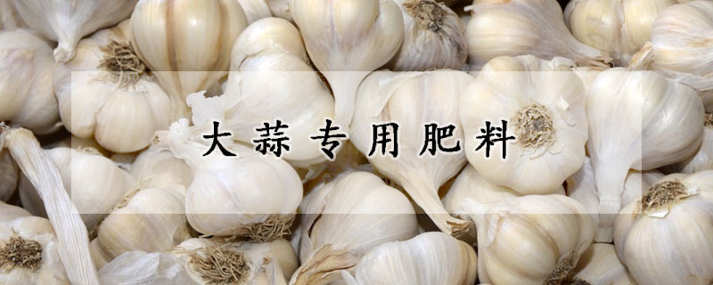 大蒜专用肥料