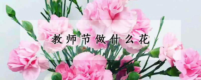 教师节做什么花