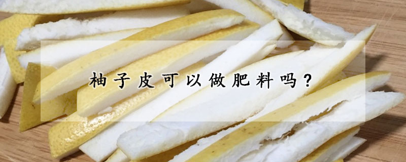 柚子皮可以做肥料吗?