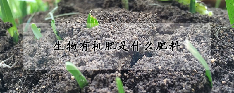 生物有机肥是什么肥料