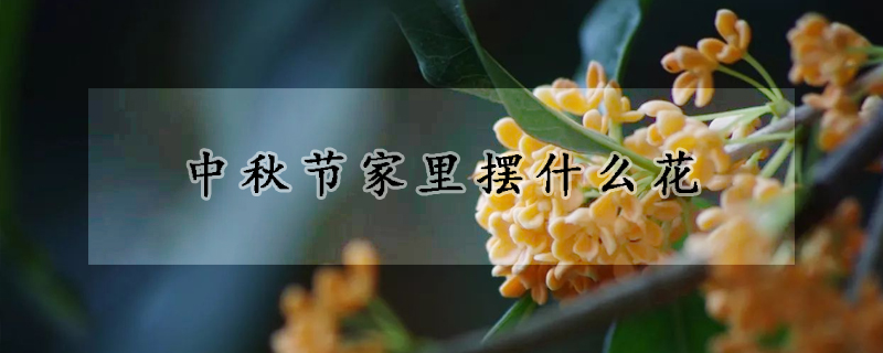 中秋节家里摆什么花