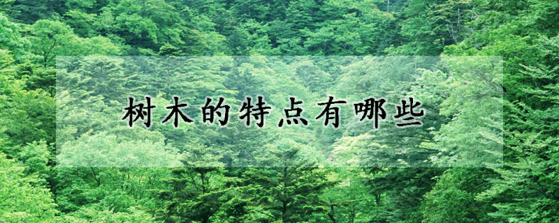 树木的特点有哪些