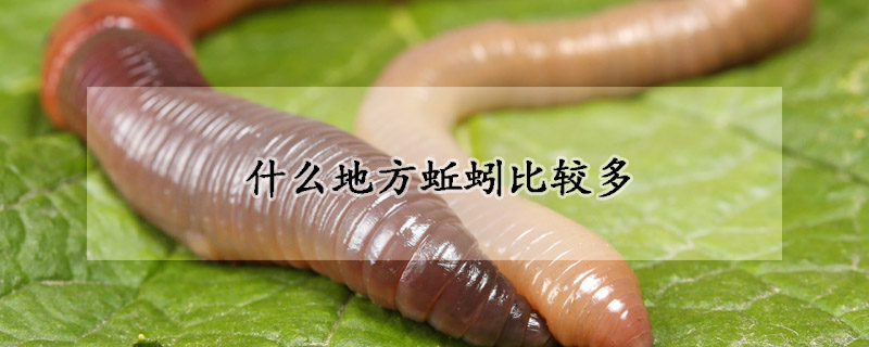 什么地方蚯蚓比较多