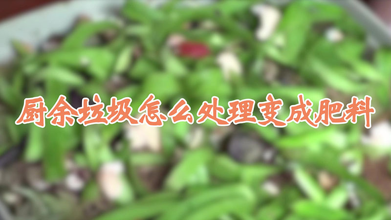 厨余垃圾怎么处理变成肥料