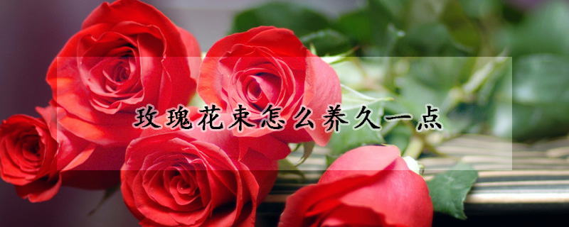 玫瑰花束怎么养久一点