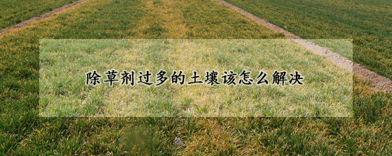 除草剂过多的土壤该怎么解决