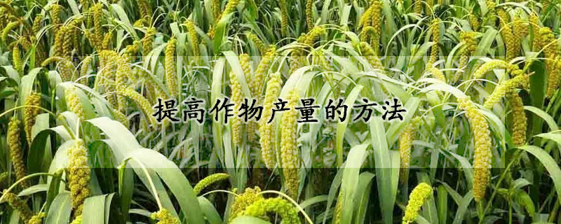 提高作物产量的方法