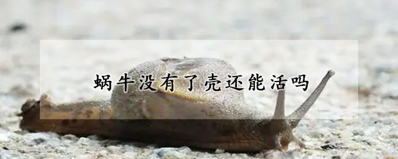 蜗牛没有了壳还能活吗