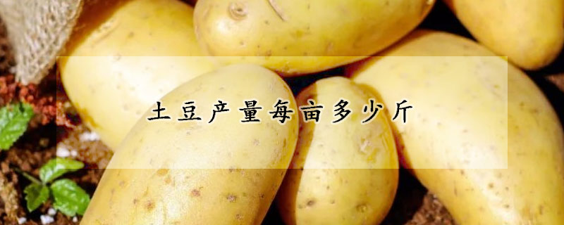 土豆产量每亩多少斤