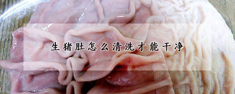 生猪肚怎么清洗才能干净