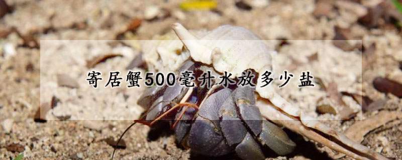 寄居蟹500毫升水放多少盐