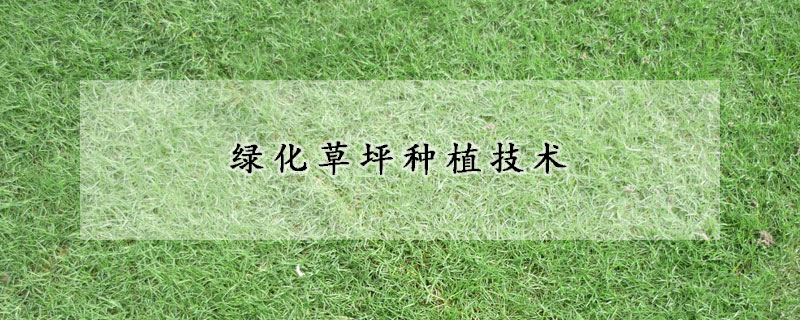 绿化草坪种植技术