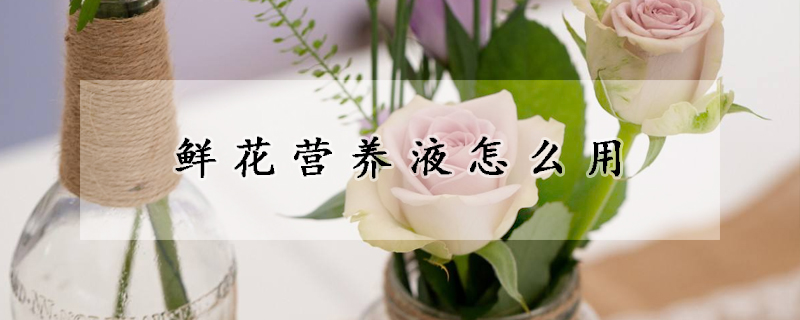 鲜花营养液怎么用