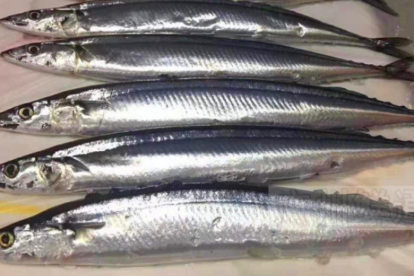 什么鱼是深海鱼
