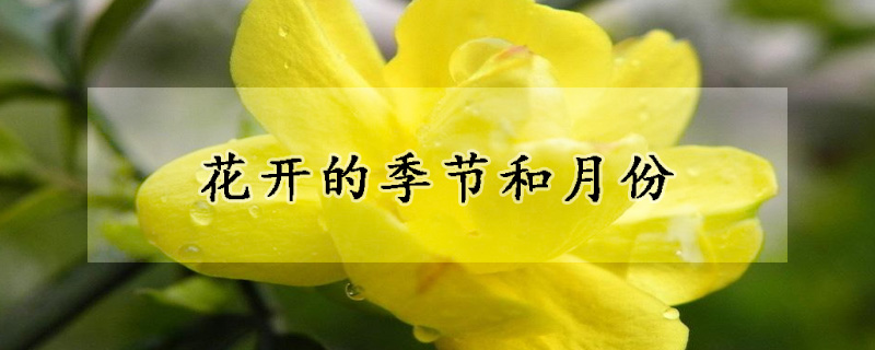 花开的季节和月份