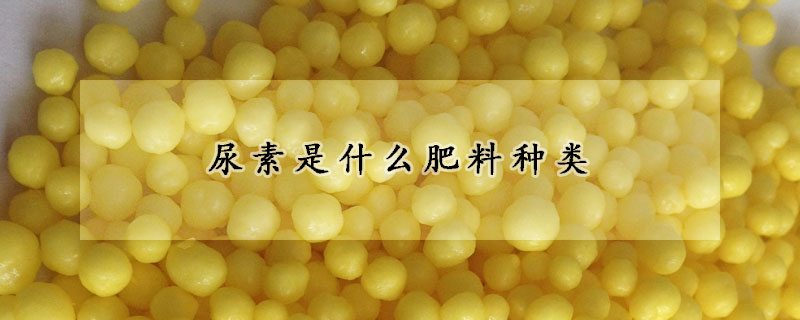 尿素是什么肥料种类