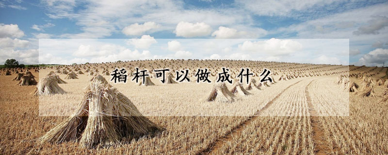 稻杆能够做成什么 —【发财农业网】