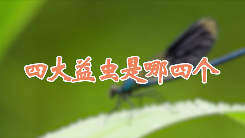 四大益虫是哪四个