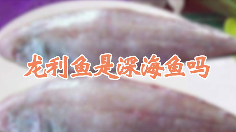 龙利鱼是深海鱼吗