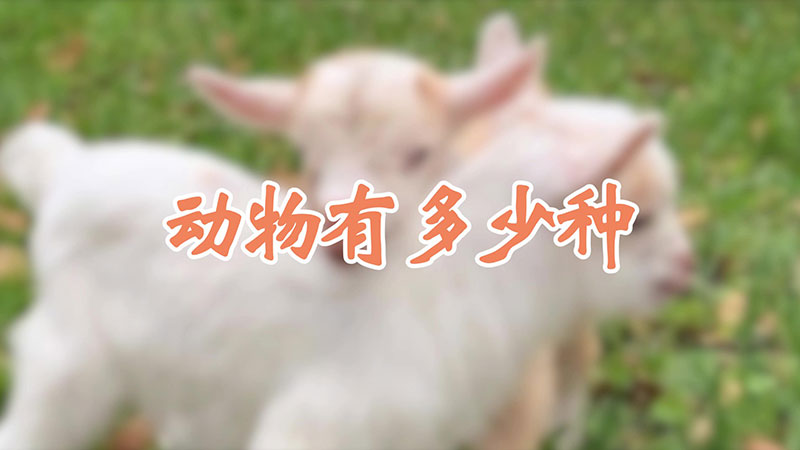动物有多少种