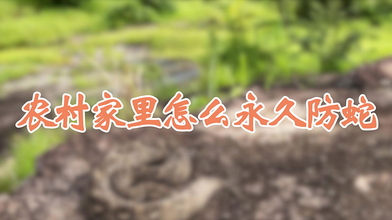 农村家里怎么永久防蛇