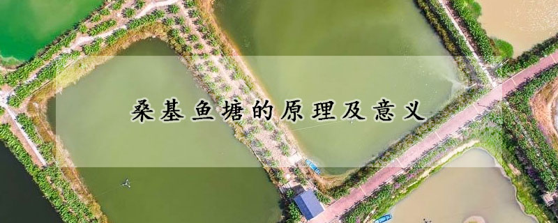 桑基鱼塘的原理及意义