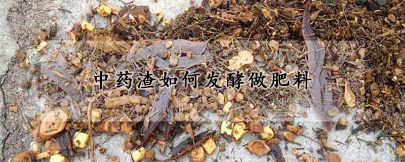 中药渣如何发酵做肥料