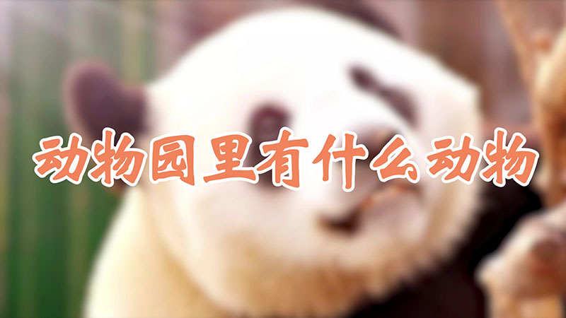 动物园里有什么动物