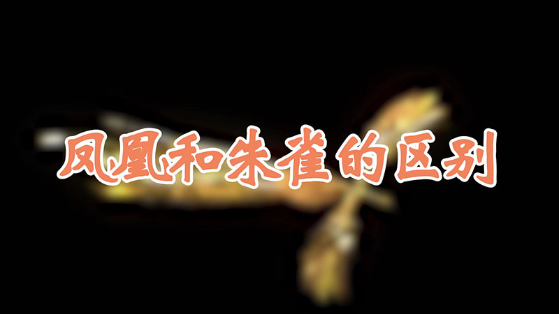 凤凰和朱雀的区别